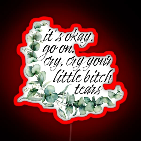 It S Okay Go On Cry Cry Your Little Bitch Tears RGB Neon Sign