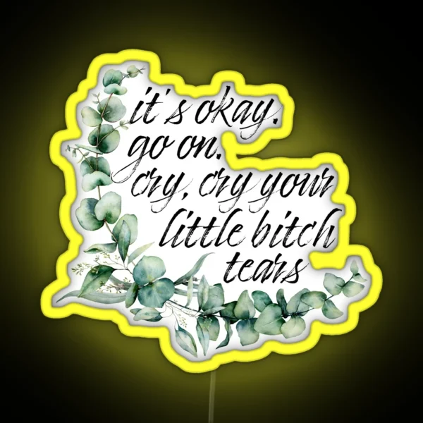 It S Okay Go On Cry Cry Your Little Bitch Tears RGB Neon Sign