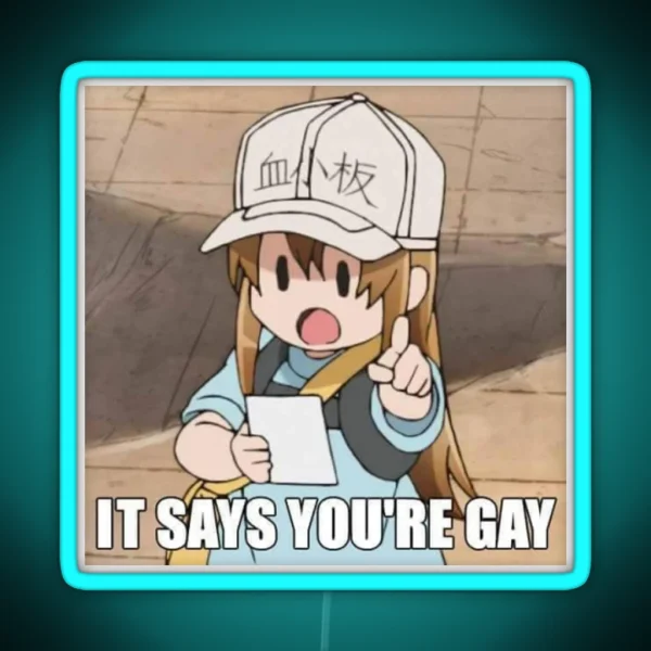 It Says You Re Gay RGB Neon Sign