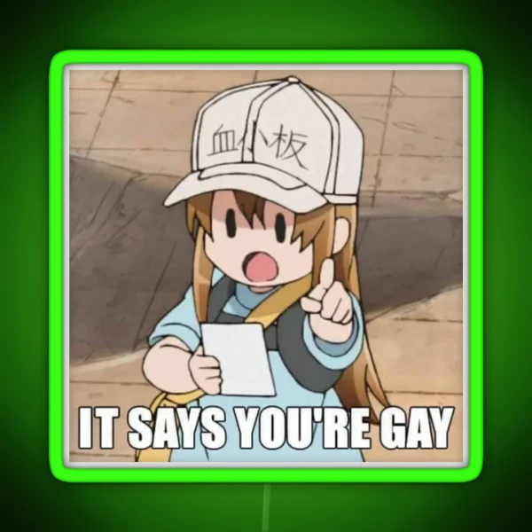 It Says You Re Gay RGB Neon Sign