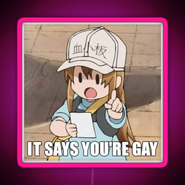 It Says You Re Gay RGB Neon Sign