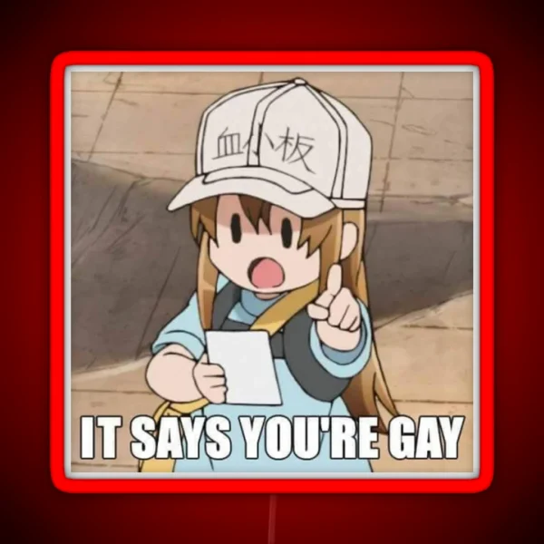 It Says You Re Gay RGB Neon Sign