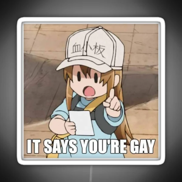 It Says You Re Gay RGB Neon Sign