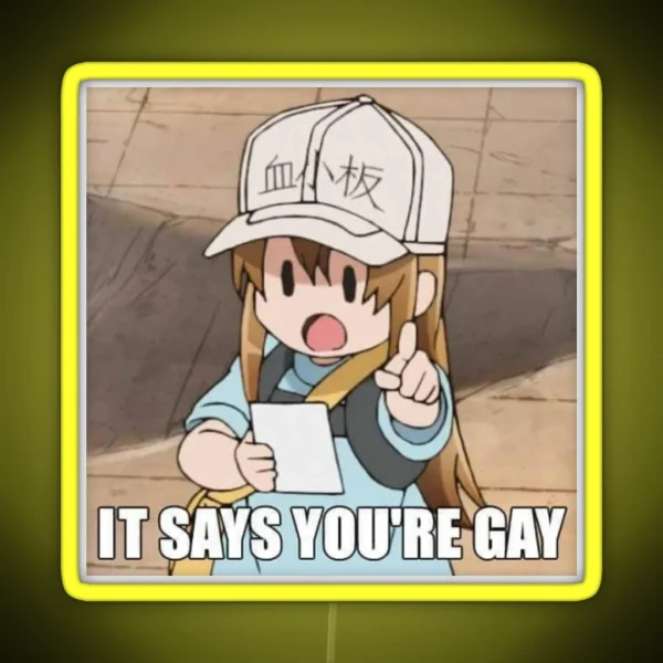 It Says You Re Gay RGB Neon Sign