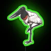 Jabiru RGB Neon Sign - Image 4
