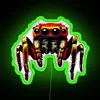 Jumping Spider Led Cute Spider Spider Led Spider Lover Gift Jumping Spider Arachnid Led A Great Gift For Spider Lovers RGB Neon Sign - Image 3