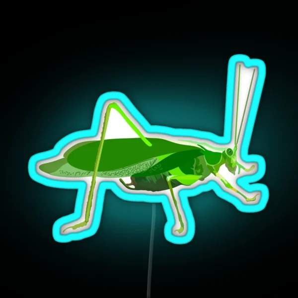 K Is For Katydid RGB Neon Sign