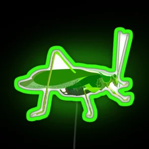 K Is For Katydid RGB Neon Sign