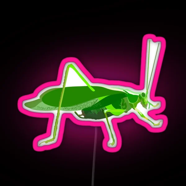 K Is For Katydid RGB Neon Sign