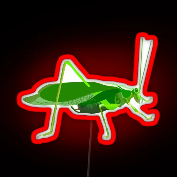 K Is For Katydid RGB Neon Sign