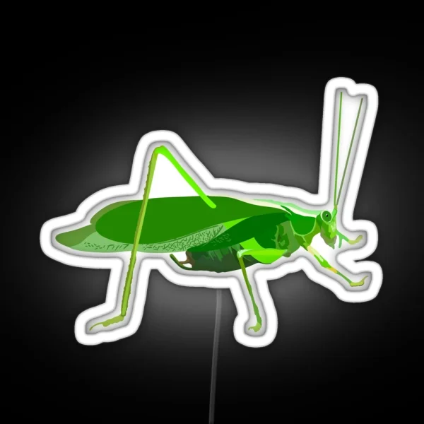 K Is For Katydid RGB Neon Sign
