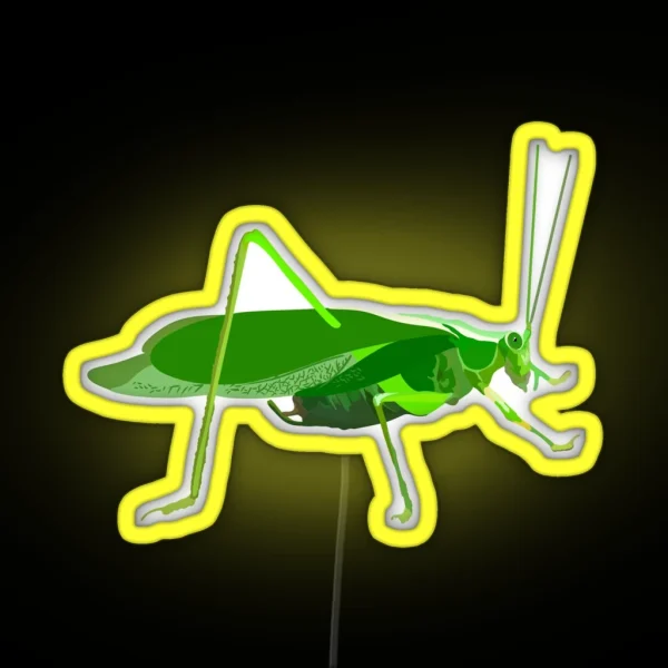 K Is For Katydid RGB Neon Sign