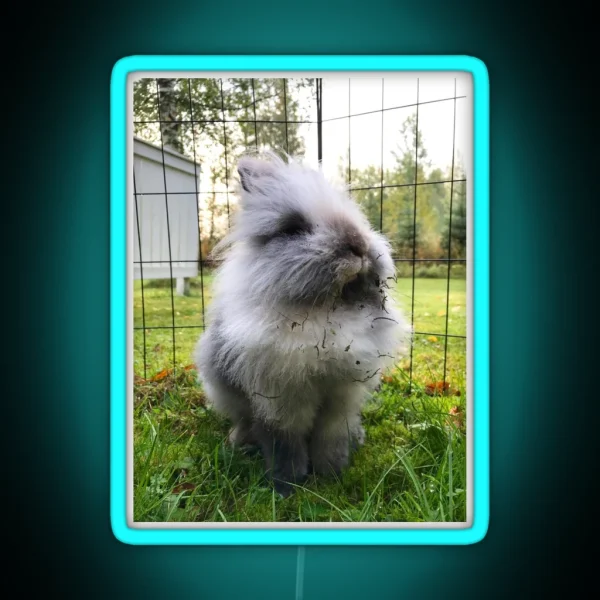 Kale The Rabbit Outdoor Explorer RGB Neon Sign