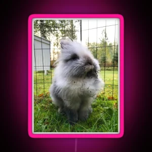 Kale The Rabbit Outdoor Explorer RGB Neon Sign