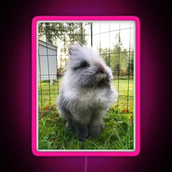 Kale The Rabbit Outdoor Explorer RGB Neon Sign