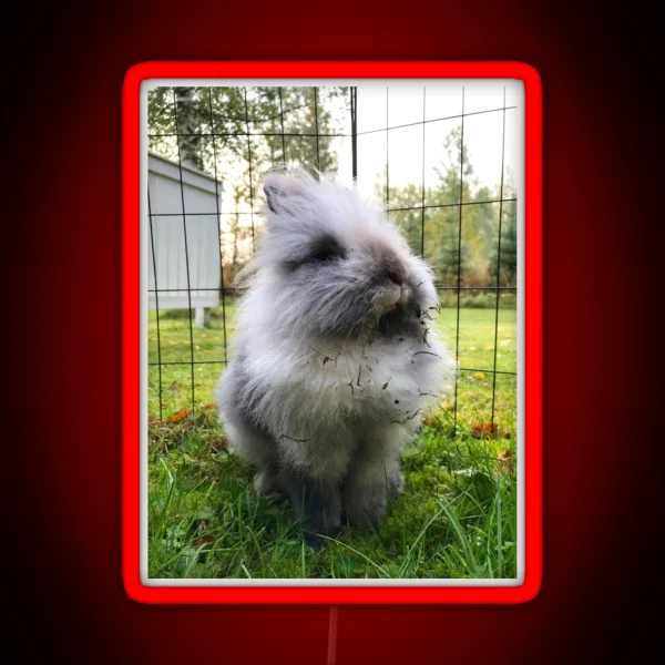 Kale The Rabbit Outdoor Explorer RGB Neon Sign