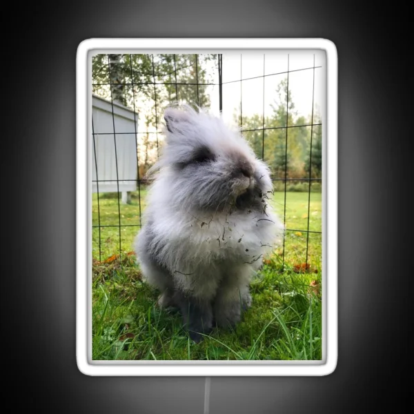 Kale The Rabbit Outdoor Explorer RGB Neon Sign