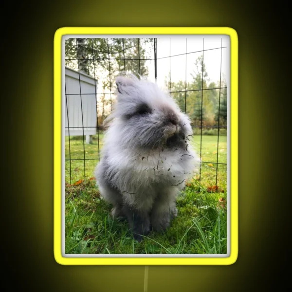 Kale The Rabbit Outdoor Explorer RGB Neon Sign