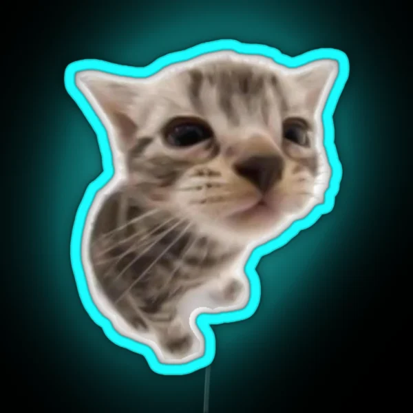 Kawaii Silly Cat RGB Neon Sign
