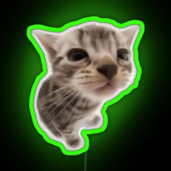 Kawaii Silly Cat RGB Neon Sign