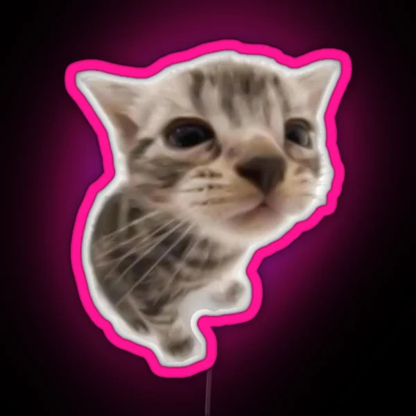 Kawaii Silly Cat RGB Neon Sign