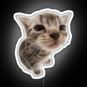 Kawaii Silly Cat RGB Neon Sign