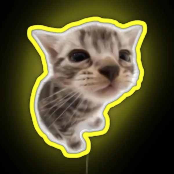 Kawaii Silly Cat RGB Neon Sign