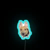 Kira With Big Ears RGB Neon Sign - Image 3