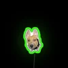 Kira With Big Ears RGB Neon Sign - Image 4