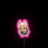 Kira With Big Ears RGB Neon Sign - Image 6