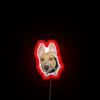 Kira With Big Ears RGB Neon Sign - Image 2
