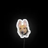 Kira With Big Ears RGB Neon Sign