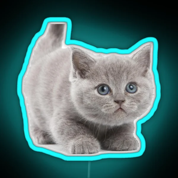 Kitten RGB Neon Sign