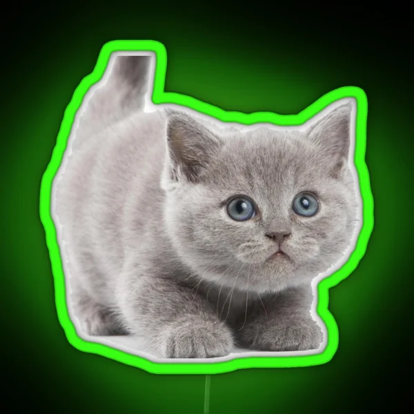 Kitten RGB Neon Sign
