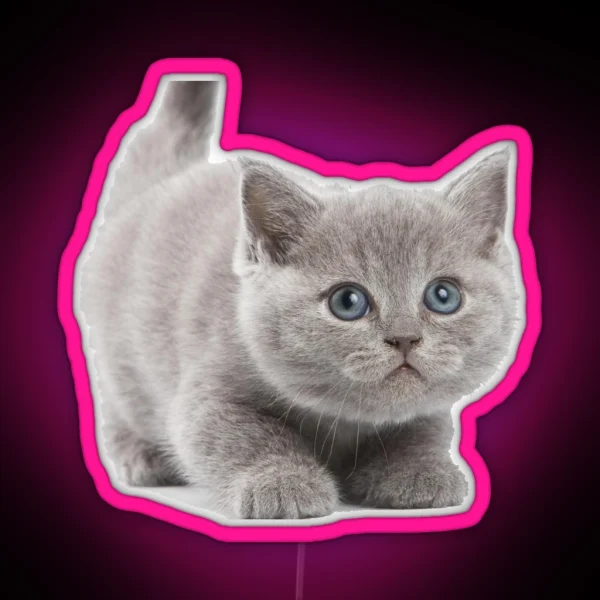 Kitten RGB Neon Sign