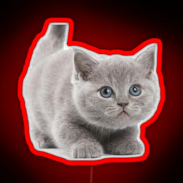 Kitten RGB Neon Sign