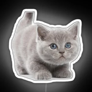 Kitten RGB Neon Sign