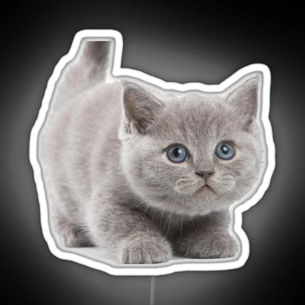 Kitten RGB Neon Sign