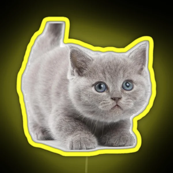 Kitten RGB Neon Sign