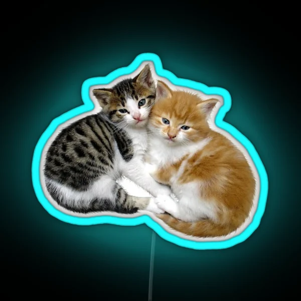 Kittens RGB Neon Sign