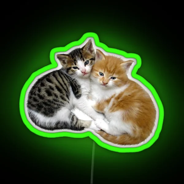Kittens RGB Neon Sign