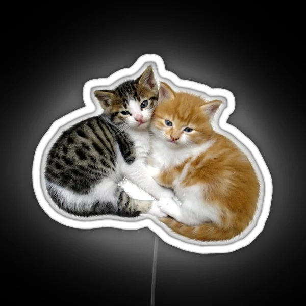 Kittens RGB Neon Sign