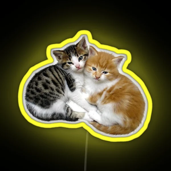 Kittens RGB Neon Sign