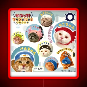 Kitties With Sea Creatures Hats RGB Neon Sign