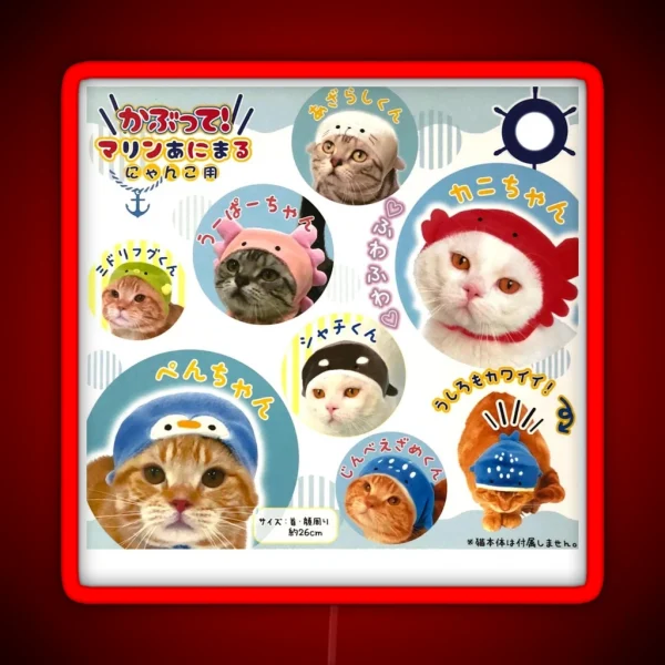 Kitties With Sea Creatures Hats RGB Neon Sign