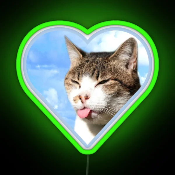 Kitty Led Blep RGB Neon Sign