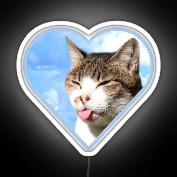 Kitty Led Blep RGB Neon Sign
