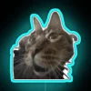 Kool Kat RGB Neon Sign - Image 3