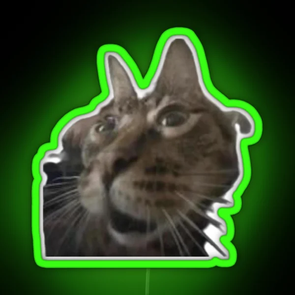 Kool Kat RGB Neon Sign