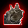 Kool Kat RGB Neon Sign - Image 2